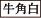牛角白