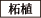 柘植